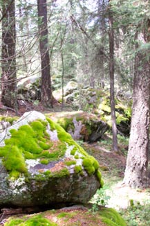 Jemez Mountains, New Mexico